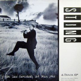Sting - If You Love Somebody Set Them Free