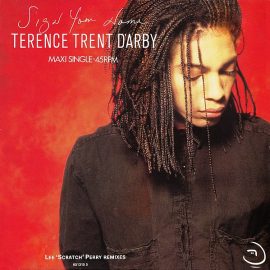 Terence Trent D'Arby - Sign Your Name (Lee 'Scratch' Perry Remixes)
