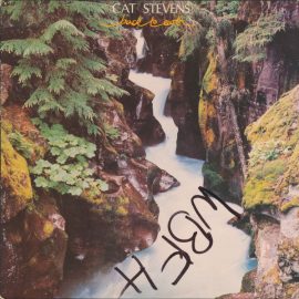 Cat Stevens - Back To Earth
