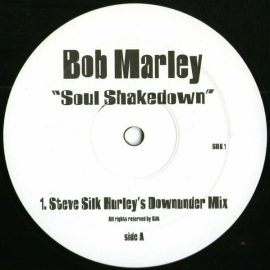 Bob Marley - Soul Shakedown