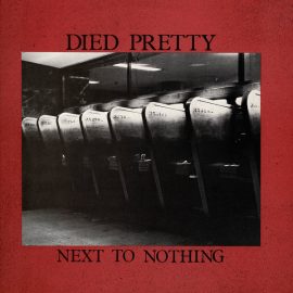 Died Pretty - Next To Nothing