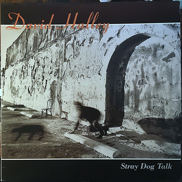David Halley - Stray Dog Talk