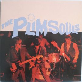 The Plimsouls - One Night In America