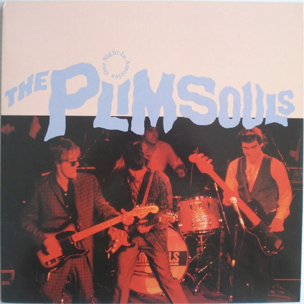 The Plimsouls - One Night In America